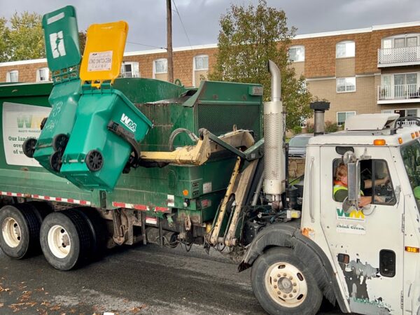 From Cluttered to Clean: Success Stories from Our Professional Junk Removal in Bellevue