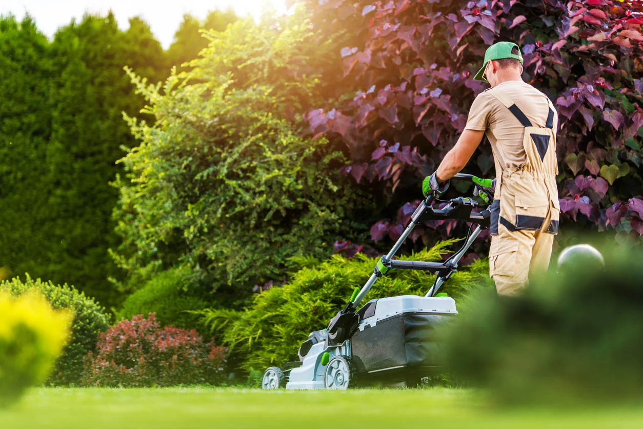 The Role of Mowing Frequency in Determining the Ideal Mower